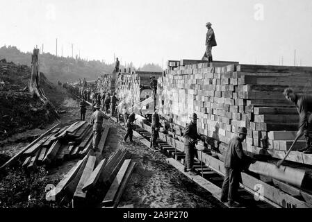 Industries of War - Lumbering - TRACK LAYING ON LINE SOUTH NEAR BEAVER CREEK. PASSING TIES ( FROM SIDE), Oregon ca. 1915-1920 Stock Photo