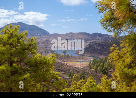 Gran Canaria, December, view from a hiking path in the mountains towards freshwater reservoir Presa de Las Ninas, iconic old pine Pino de Casandra vis Stock Photo