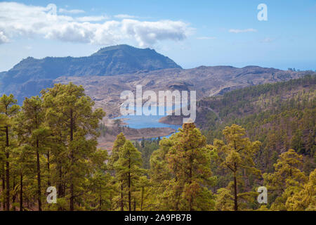 Gran Canaria, December, view from a hiking path in the mountains towards freshwater reservoir Presa de Las Ninas, iconic old pine Pino de Casandra vis Stock Photo