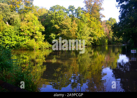 Holly Hill Woodland Park, Fareham, Southampton, Hampshire, UK Stock Photo