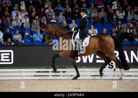 Stuttgart, Germany. 17th Nov, 2019. 35th Stuttgart German Masters, Equestrian Sport, Dressage, Master: Germany's Isabell Werth rides her horse Emilio. Werth took first place. Credit: Sebastian Gollnow/dpa/Alamy Live News Stock Photo