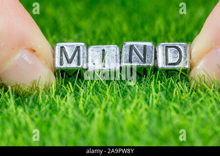 Close up on word MIND written in metal letters laid on grass and held between the fingers of a woman. Concept of wellness, psychology background Stock Photo