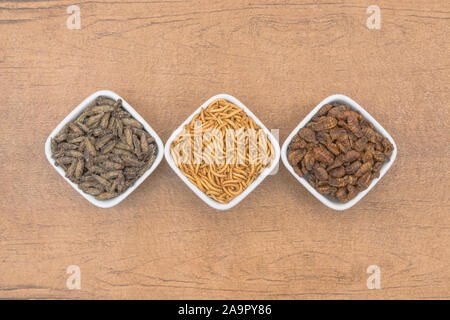 Dishes of edible insects. Mealworms / Tenebrio molitor, Small Crickets ...