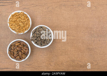 Dishes of edible insects. Mealworms / Tenebrio molitor, Small Crickets ...