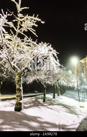 Winter landscape of city park at night Stock Photo - Alamy