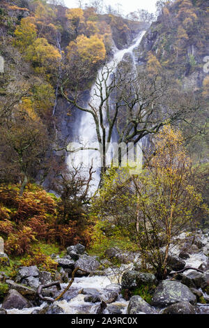 Autumn colours at Aber Falls or Rhaeadr Fawr waterfall in Coedydd Aber National Nature Reserve in Snowdonia. Abergwyngregyn Gwynedd Wales UK Britain Stock Photo