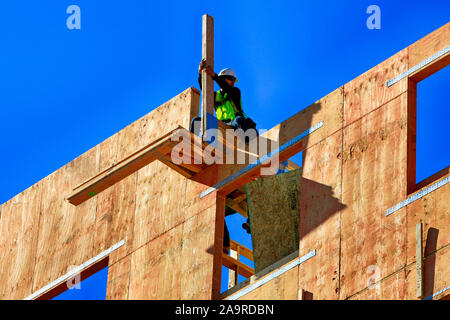 Man perched high up on a wooden inner skeleton of a new apartment building in downtown Tucson AZ Stock Photo