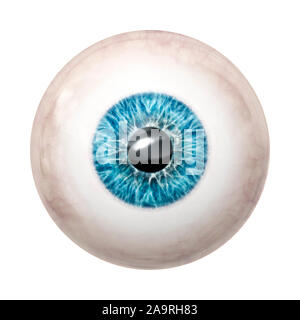 An image of a nice blue eye ball Stock Photo