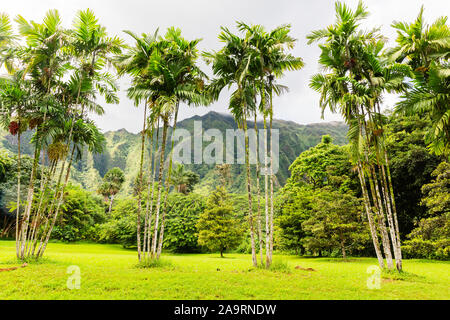 view of the Ho’omaluhia Botanical Garden in Oahu, Hawaii Stock Photo