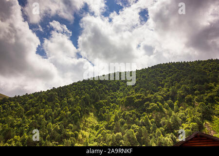 Beautiful mountain lake Kezenoy Am or Kezenoyam in Chechen republik in Russia Stock Photo