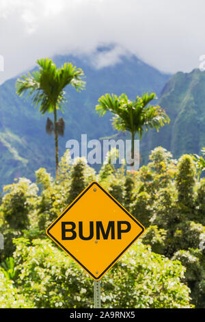 view of the Ho’omaluhia Botanical Garden in Oahu, Hawaii Stock Photo