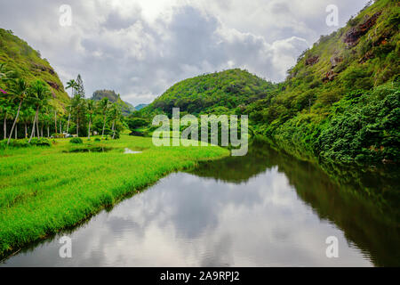 picture of an entrance view of Waimea valley, Oahu, Hawaii Stock Photo