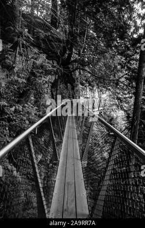 Capliano Suspension Bridge Stock Photo