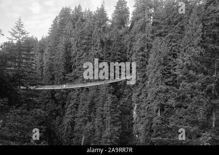 Capliano Suspension Bridge Stock Photo