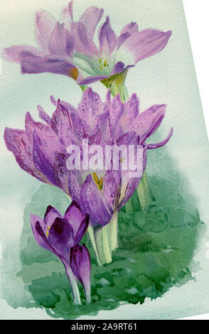 Nature Landscape Art Color Drawing Illustration Natural Pathway With Forest Beautiful Scene Wild Country Road Concept Stock Photo Alamy Photos and images of the beautiful side of nature, such as wildlife, landscapes, marine life see more of beautiful nature on facebook. nature landscape art color drawing