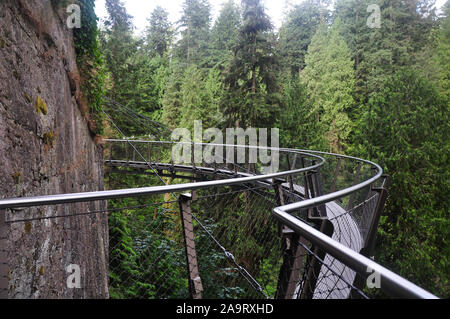 Capliano Suspension Bridge Stock Photo