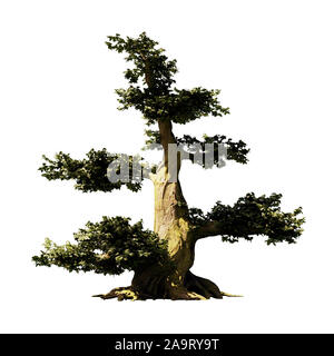 big old fantasy tree, isolated on white background Stock Photo