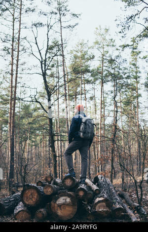 Man with backpack stands on pile of logs in the pine forest. Vertical orientation Stock Photo