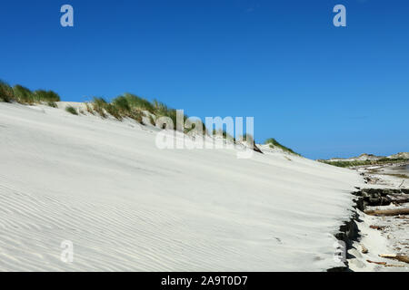 Beach Sand Dune Sea Farewell Spit in New Zealand Stock Photo