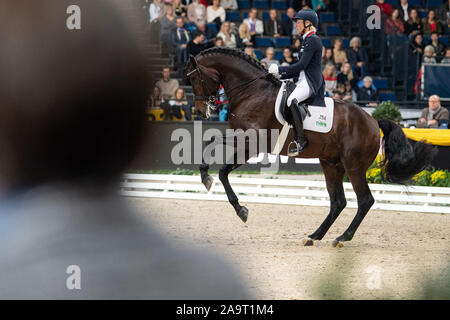 Stuttgart, Germany. 17th Nov, 2019. 35th Stuttgart German Masters, Equestrian Sport, Dressage, Master: Germany's Ingrid Klimke rides her horse Franziskus. Credit: Sebastian Gollnow/dpa/Alamy Live News Stock Photo