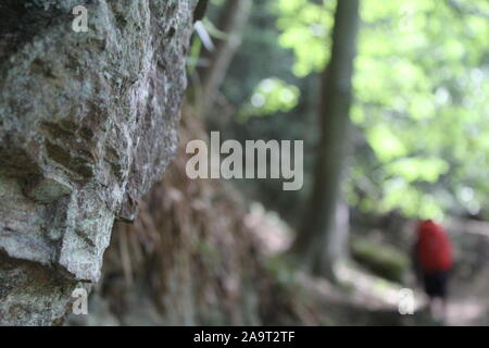 Falling Foss Tea Garden Stock Photo