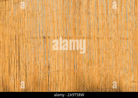 Aged Natural Old Yellow Wooden Board Wall Fence From Bamboo Woods Trunks. Background Texture. Stock Photo