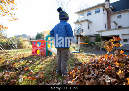 Rear view of anonymous young boy raking leaves in yard behind home