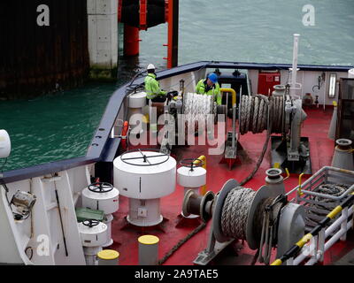 AJAXNETPHOTO. 2019. DUNKRQUE, FRANCE. - SEAMEN - DECK CREW AT WORK ON A CROSS CHANNEL FERRY HEAVING IN STERN ROPES AS SHIP DEPARTS DOCK.PHOTO:JONATHAN EASTLAND/AJAX REF:GX8 191510 20912 Stock Photo