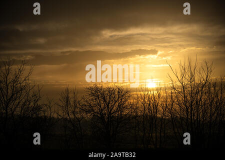 Sunset over pure nature fields with trees on the side . Stock Photo