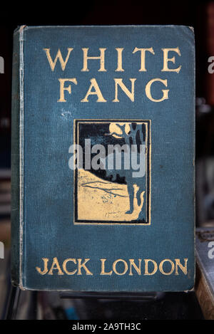 Vintage copy of White Fang by Jack London on display in an Edinburgh secondhand bookshop. Stock Photo
