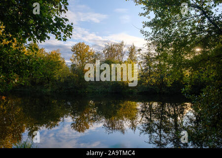 Beautiful multi-colored foliage on trees on the coast of a lake with blue water and clouds in the sky Stock Photo