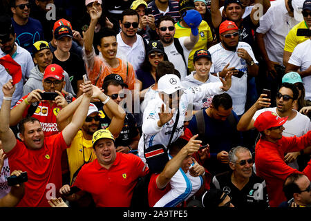 Red bull racing fans celebrate victory for max verstappen hi res