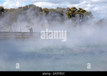 Steam pours off Lake Kuirau in Kuirau Park in central Rotorua Stock Photo