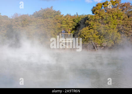 Steam pours off Lake Kuirau in Kuirau Park in central Rotorua Stock Photo