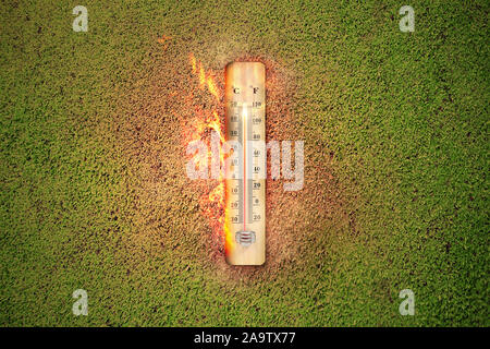 Thermometer with high temperature on the meadow with glowing sun background. Heatwave concept Stock Photo