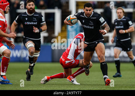 Newcastle, UK. 02nd Nov, 2019. NEWCASTLE UPON TYNE, ENGLAND - NOVEMBER 16TH Josh Matavesi of Newcastle Falcons in action during the Greene King IPA Championship match between Newcastle Falcons and Coventry at Kingston Park, Newcastle on Sunday 17th November 2019. (Credit: Chris Lishman | MI News) Credit: MI News & Sport /Alamy Live News Stock Photo