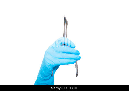 Nasal mirror in the hand in blue glove on white background isolated. Suitable for any purprose use Stock Photo