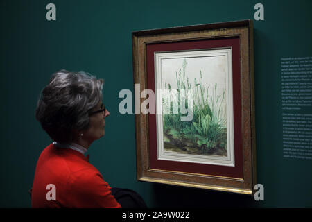 Visitor in front of the watercolour painting 'Great Piece of Turf' ('Das große Rasenstück') by German Renaissance painter Albrecht Dürer (1503) displayed at his retrospective exhibition in the Albertina Museum in Vienna, Austria. The exhibition presenting over 200 examples of Dürer's drawings, printed graphics, and paintings runs till 6 January 2020. Stock Photo