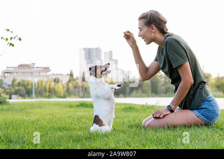 Attractive girl walk the dog. Jack Russell Terrier. Having fun playing in outdoors. Playful mood. Enjoying freedom. Friends together. Concepts of frie Stock Photo