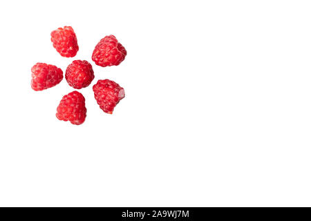 raspberries in the shape of a sun or flower isolated on a white background, copyspace. Top view, flat lay Stock Photo