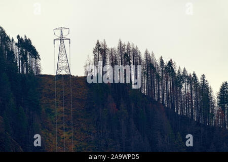 High voltage power lines crossing a mountain summit near Bonneville Lock and Dam, Oregon, USA Stock Photo