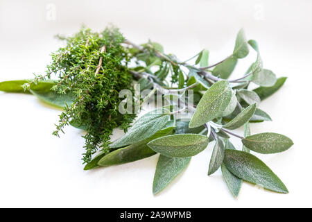 Sage and thyme on a white background. Herbs from the garden. Fresh spices. Taste in leaves. Aromatic plants. Taste and smell in green. Meat seasonings Stock Photo