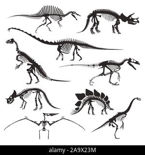 Prehistoric animals bones, dinosaur skeletons isolated icons Stock Vector