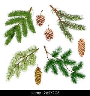 Pine or fir, Christmas tree conifer branches and cones isolated icons Stock Vector