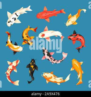 Japanese carp, koi fish in pond, Chinese goldfish Stock Vector