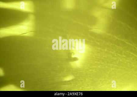 Yellow abstract background with shadows and light for copy space Stock Photo