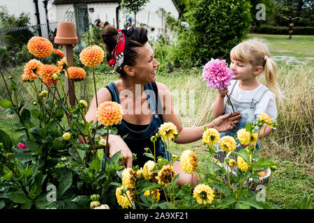 Girl and woman kneeling in a garden, picking pink and yellow Dahlias. Stock Photo