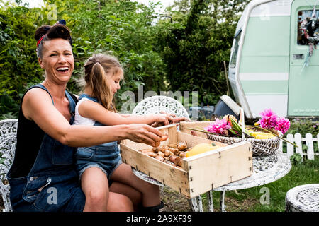 Laughing woman and girl sitting at table in a garden, wooden crate with vegetables and basket with Dahlias. Stock Photo