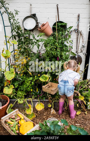 Rear view of blond girl standing in a garden, picking fresh vegetables. Stock Photo