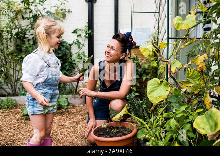 Smiling woman and girl in a garden, picking fresh vegetables. Stock Photo